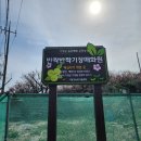 장산농장 | 기장 가볼 만한 곳 반짝반짝 기장매화원 첫 방문 후기