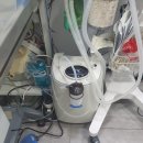CH동물병원 네이버블로그
