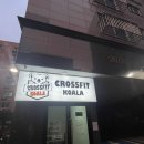 강서구 크로스핏 가양역 증미역 크로스핏 / 크로스핏코알라