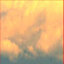 Body Mark for Identifying As You Are The Templar Knight - 첨가 이미지