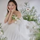 밀라드스튜디오