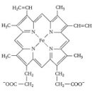 삼산 동물약국 이미지