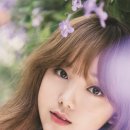 인디케이 이미지