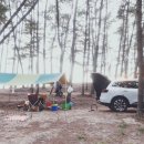 르노삼성자동차 유천점 이미지