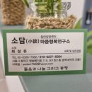 송학대약국