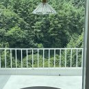 자자펜션 | 따뜻한 감성이 가득한 6호의 시작— 단양 샬롬펜션 6호의 아늑하고 포근한 힐링 공간 소개🏡🍃