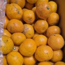 대보농장 이미지