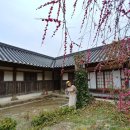 선암사 - 1428 | 선암사