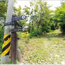 수철농장 이미지