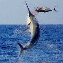 낚시와사람 이미지