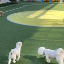 해피멍데이 이미지