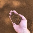 황토축산 이미지