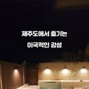 사누르 제주 이미지