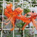 성산근린공원 이미지