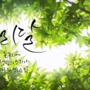누리달 Daum카페