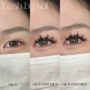 래쉬바이솔