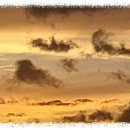 무릉다락방 이미지