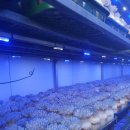 두원농장 이미지