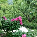 새뜸농장 이미지