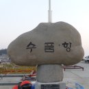 접도수품항 Daum카페