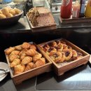 공항낙지마을 | 교원투어 여행이지 4박6일 패키지 5일차 - 시드니 시내관광, 오페라 하우스 내부투어 후기