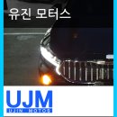 토르모터스 이미지