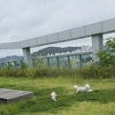 취향저견 이미지