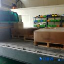 수정화물 이미지