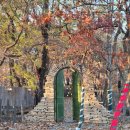 승가로 19번길 | [김포/풍무동] 김포 대형카페 추천, 정원 감성 카페 내돈내산 솔직후기 *팟시아가든*