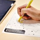 리틀프린스 이미지