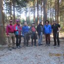 신기마을버스 정류장 이미지