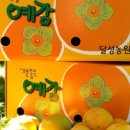 좋은예감