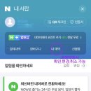 제인 속눈썹 네이버블로그