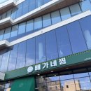 배가네생선구이 | 속초 가오리찜 청초호 근처 맛집 쾌적한 단체 속초교동밥집 속초 맛집 배가네찜