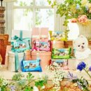 스퀘어독스 펫 이미지