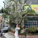 오복건강원 이미지