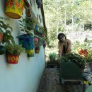 봉평농장 이미지