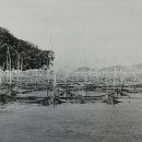 완도초등학교 앞 이미지