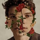 Shawn Mendes / Where were you in the morning 이미지