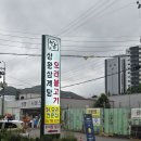 계림상황삼계탕오리 | 양산 삼계탕 맛집, 양산 오리구이 맛집 찾는다면! 비봉 상황삼계탕 오리불고기 본점 후기