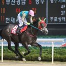 스피드코리안