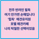 전주 힙독 애견 유치원 &amp; 호텔 솔직 이용 후기(애견 카페까지 경험)