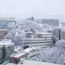 1051 이미지