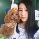 멍뭉이 이미지