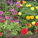 김성수농장 이미지