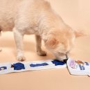 퍼피 비비드 강아지분양 하남미사본점 | 🎁 분양 직후 꼭 필요한 강아지 용품 리스트!✨