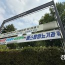 더 리체 이미지