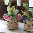 미양초교병설유치원 이미지