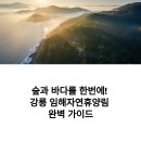 강릉 임해자연휴양림, 숲과 바다를 품은 최고의 힐링 숙소