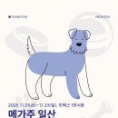 메가오락실 이미지